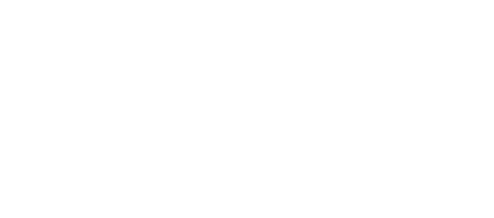 Braip
